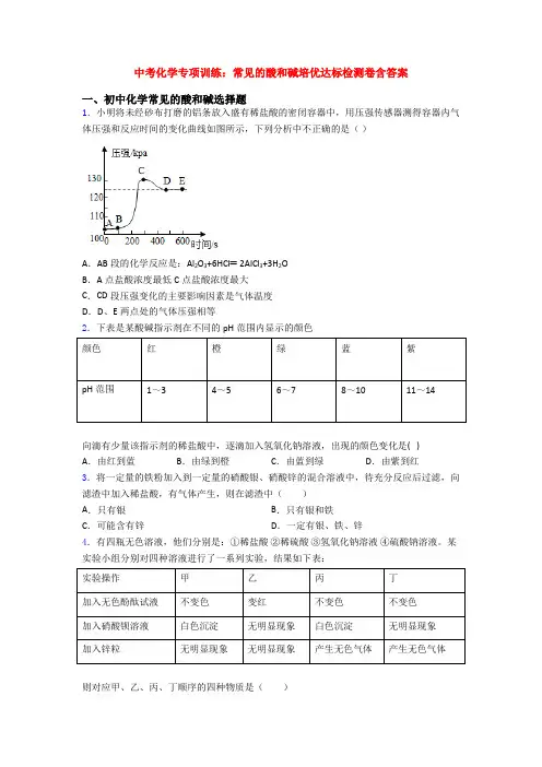 中考化学专项训练：常见的酸和碱培优达标检测卷含答案