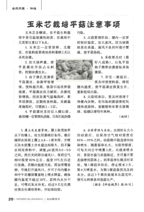 玉米芯栽培平菇注意事项