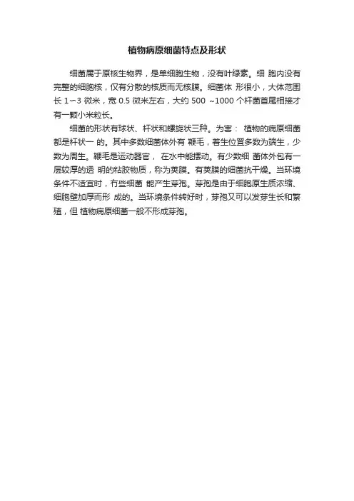 植物病原细菌特点及形状
