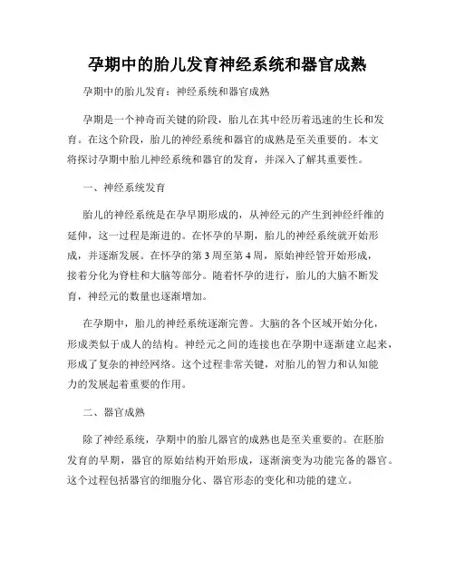 孕期中的胎儿发育神经系统和器官成熟