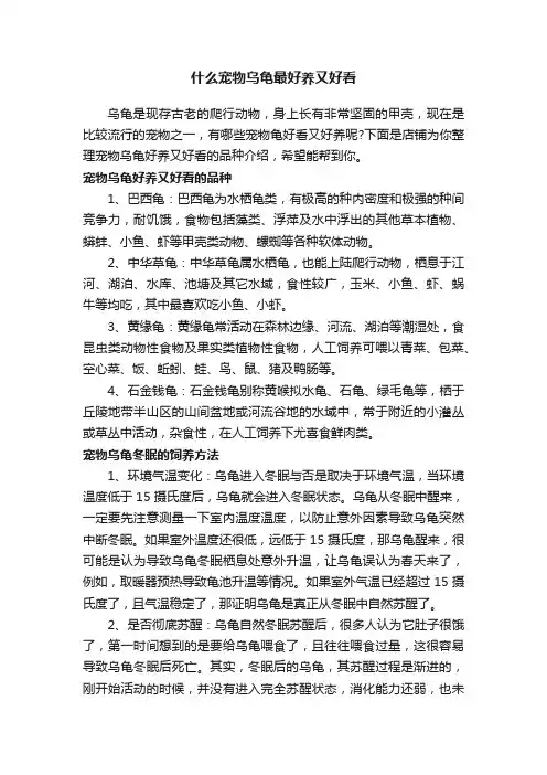 什么宠物乌龟最好养又好看