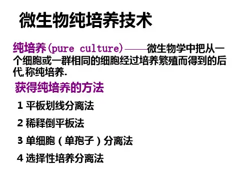 第四节 微生物纯培养技术ppt