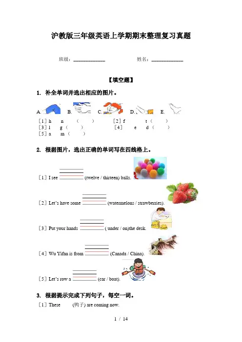 沪教版三年级英语上学期期末整理复习真题
