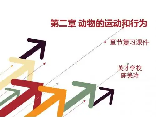 第二章动物的运动和行为复习课件