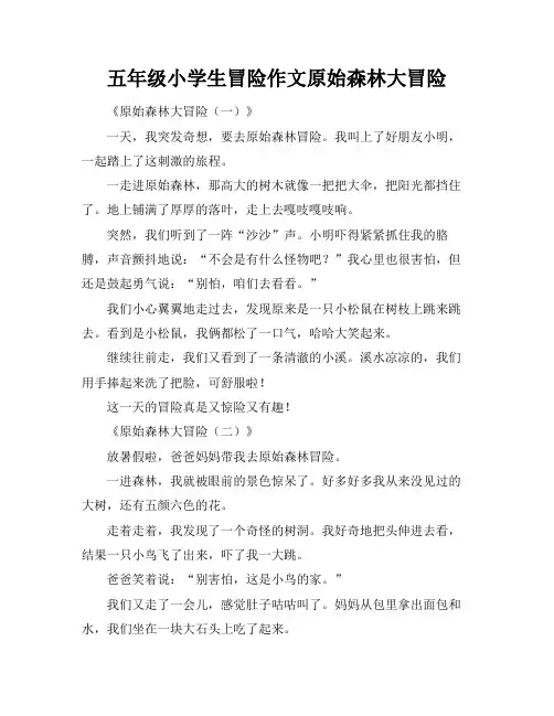 五年级小学生冒险作文原始森林大冒险