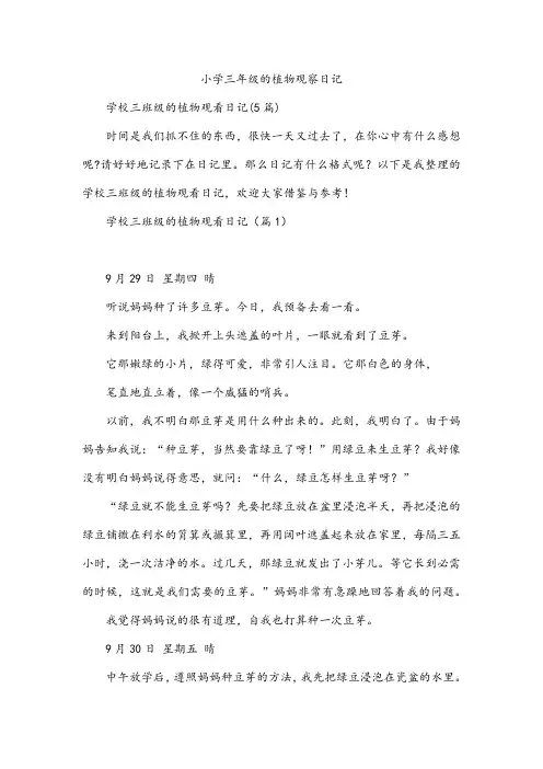 小学三年级的植物观察日记