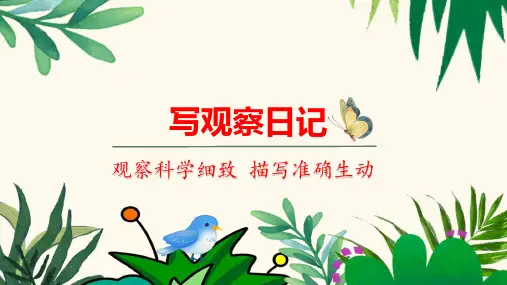 习作：写观察日记ppt课件