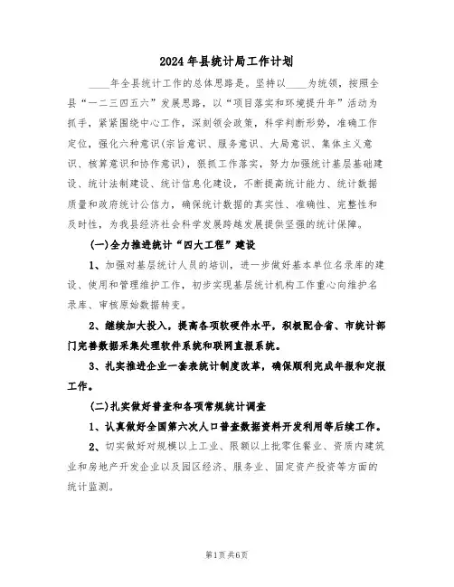 2024年县统计局工作计划(2篇)