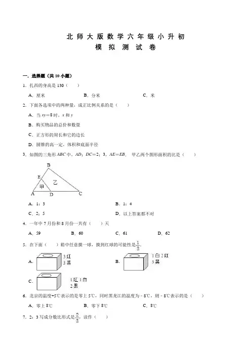 北师大版六年级下学期数学小升初检测题含答案