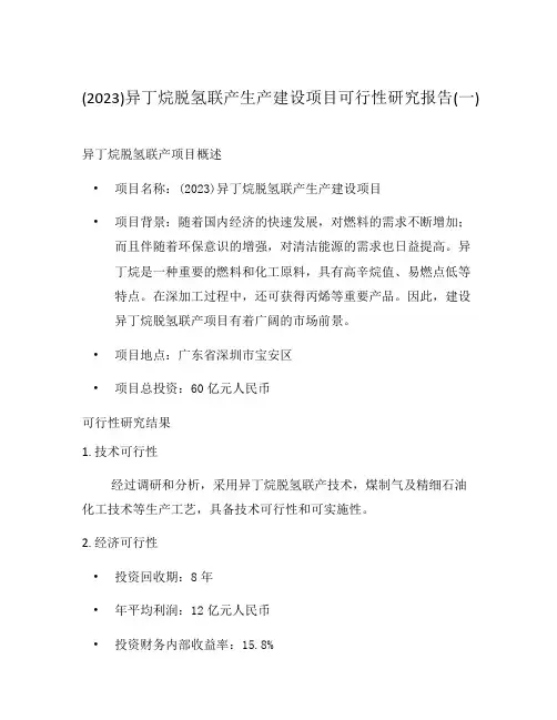 (2023)异丁烷脱氢联产生产建设项目可行性研究报告(一)