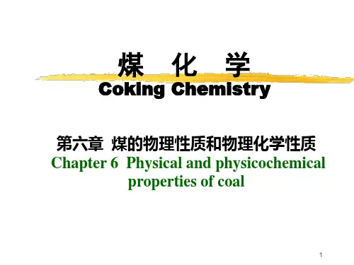 第六章 煤的物理性质和物理化学性质