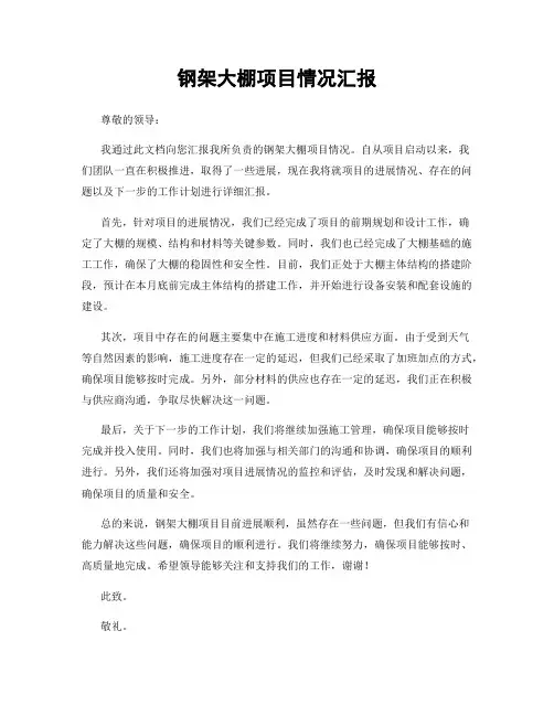 钢架大棚项目情况汇报