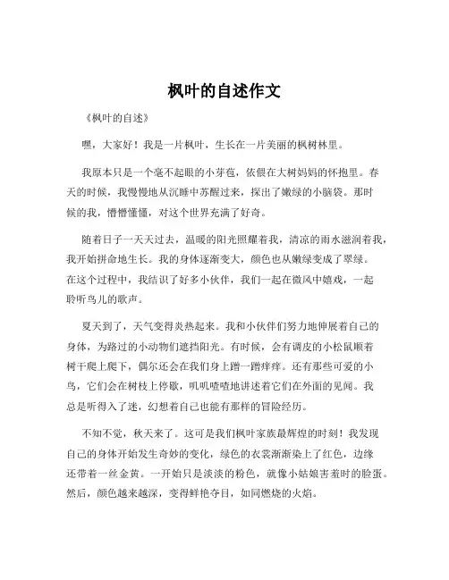 枫叶的自述作文