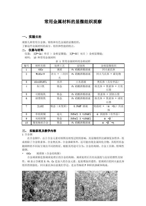 常用金属材料的显微组织观察