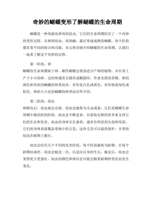 奇妙的蝴蝶变形了解蝴蝶的生命周期