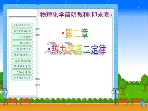 物理化学简明教程(印永嘉) 热力学第二定律