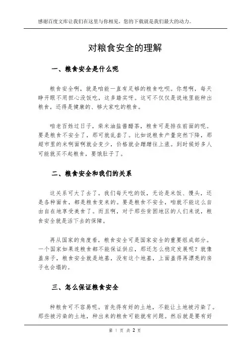 对粮食安全的理解