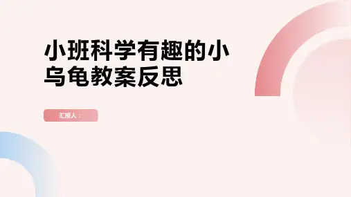 小班科学有趣的小乌龟教案反思