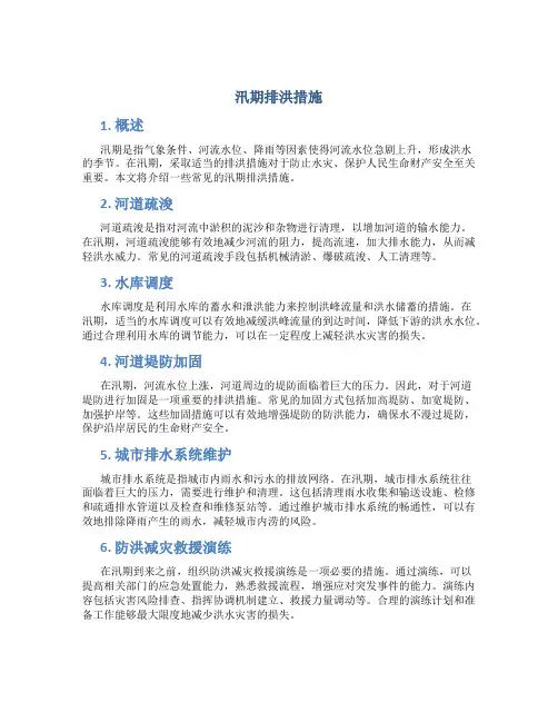 汛期排洪措施