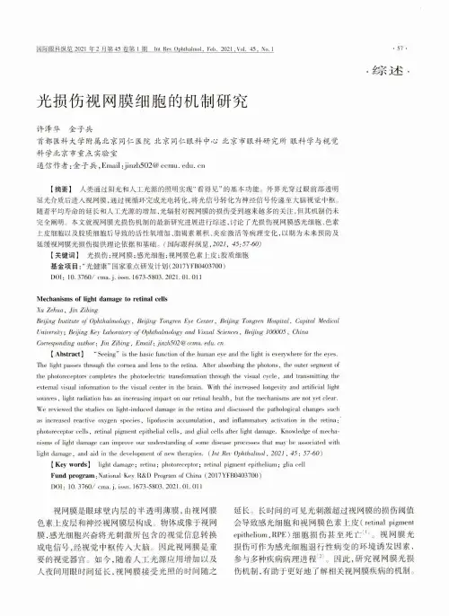 光损伤视网膜细胞的机制研究