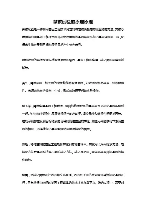 微核试验的原理原理