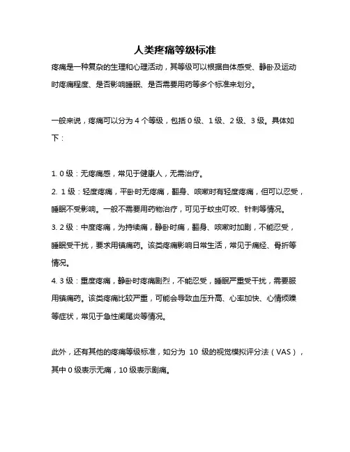 人类疼痛等级标准