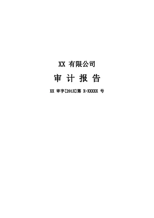 外资公司财报审计报告及附注模板(中文版)