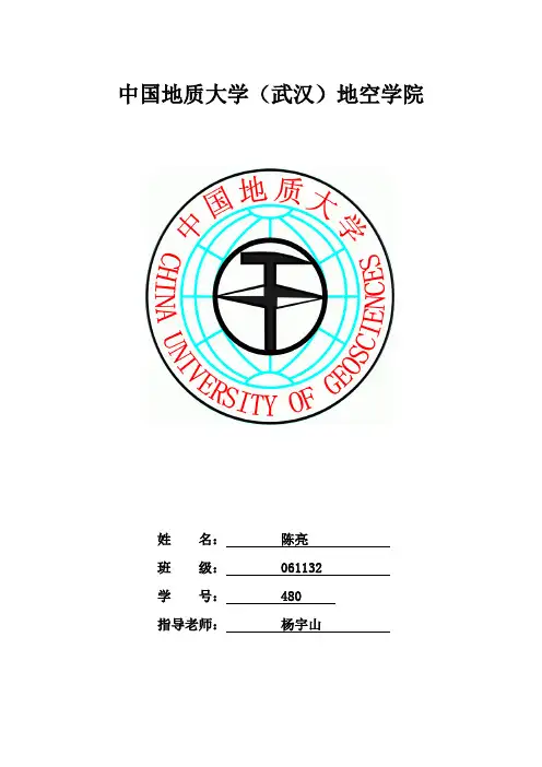 重磁数据处理大报告-陈亮