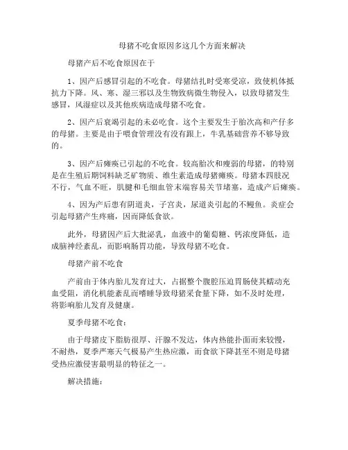 母猪不吃食原因多这几个方面来解决