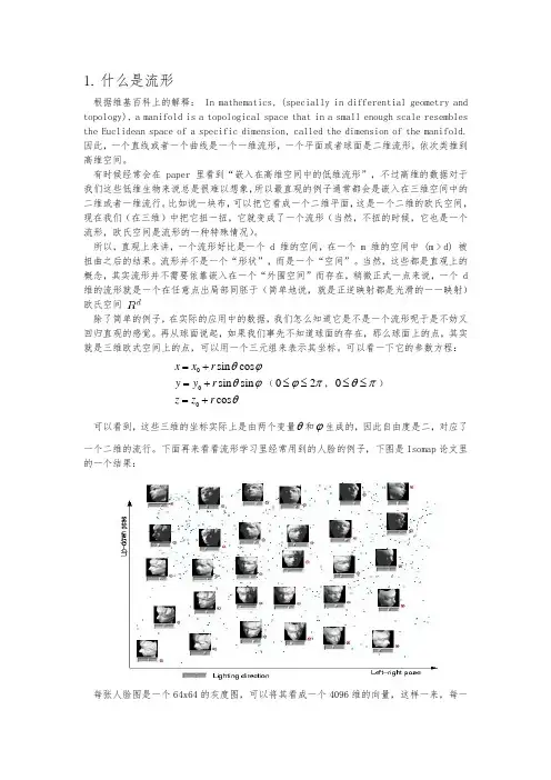 什么是流形