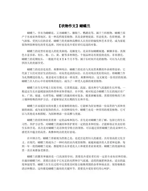 【状物作文】蝴蝶兰