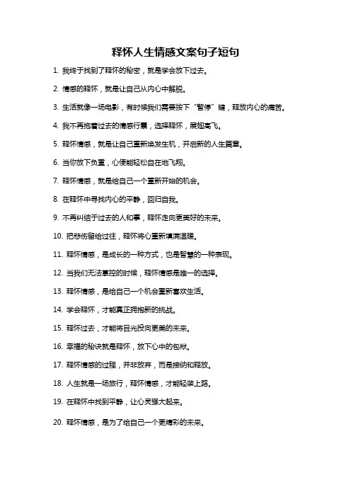 释怀人生情感文案句子短句