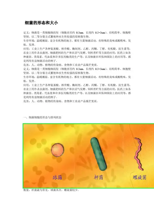 细菌的形态和大小范文