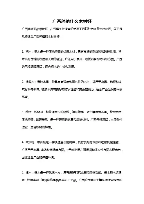 广西种植什么木材好