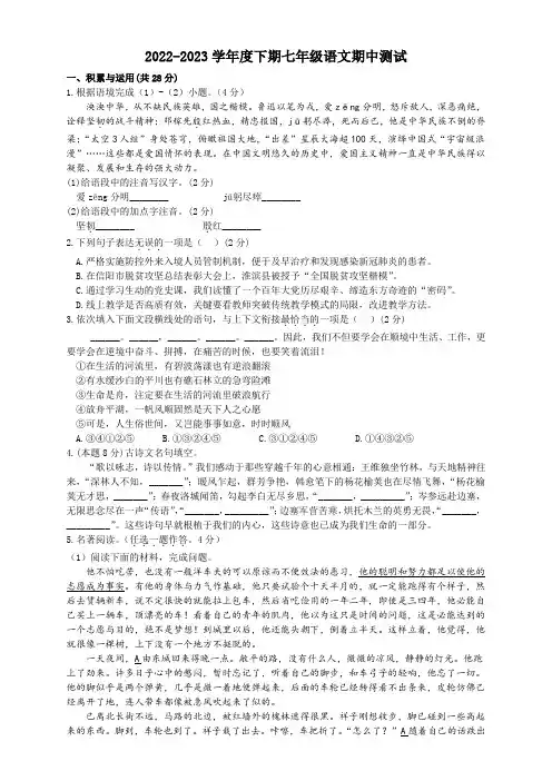 河南省信阳市淮滨县2022-2023学年七年级下学期期中语文试题(含答案)