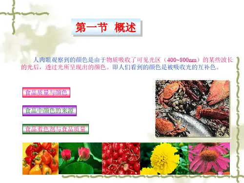 食品中的天然色素