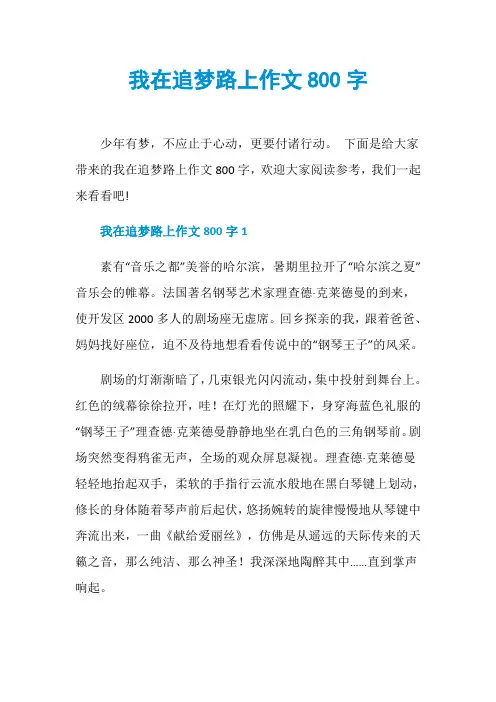 我在追梦路上作文800字