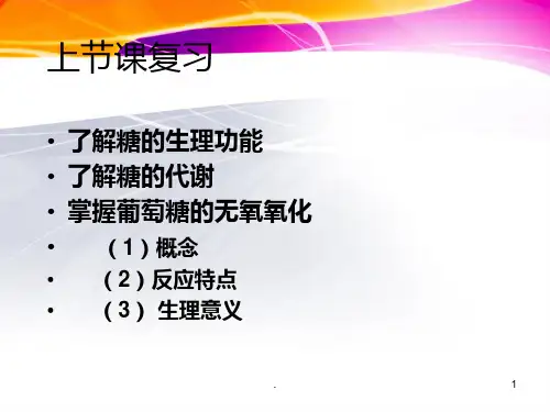 4、糖的有氧氧化PPT课件