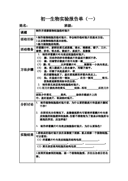 初一生物实验报告单