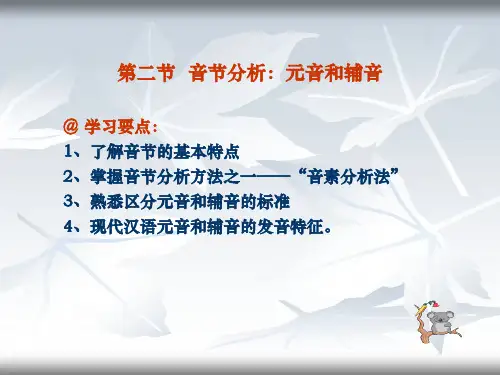 音节分析：元音和辅音