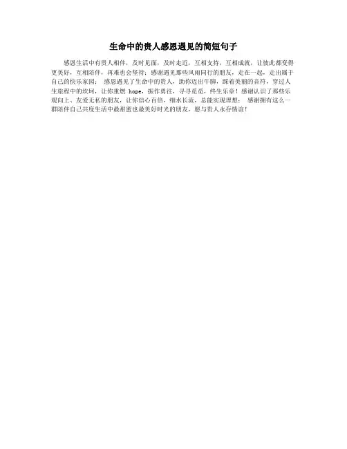 生命中的贵人感恩遇见的简短句子