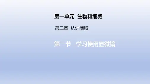 学习使用显微镜 2024-2025学年七年级上册生物同步课件(人教版2024)