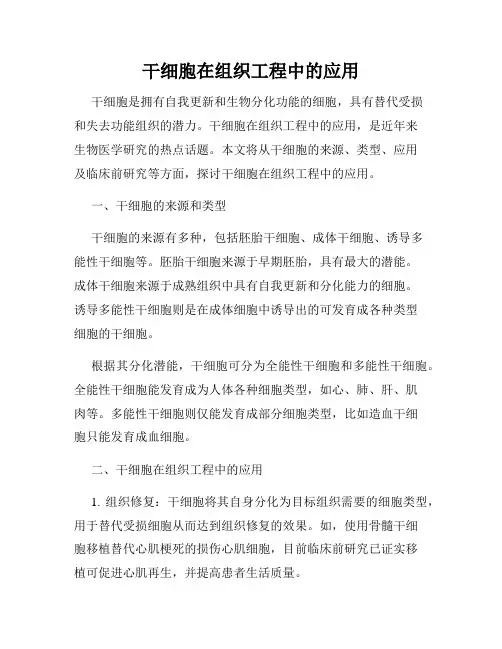 干细胞在组织工程中的应用