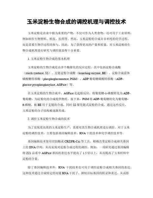 玉米淀粉生物合成的调控机理与调控技术