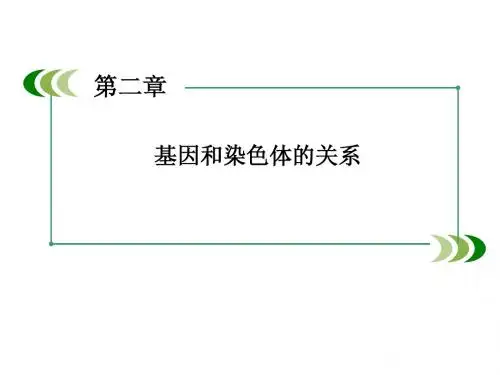 新人教版生物必修2伴性遗传