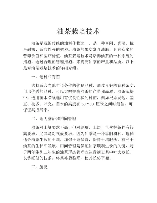 油茶栽培技术
