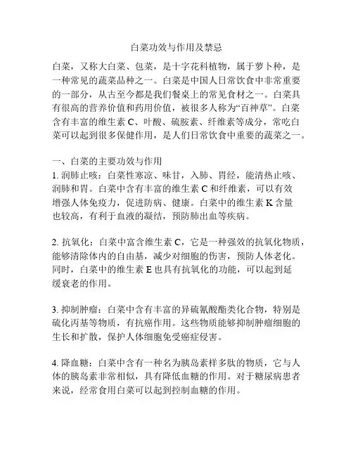 白菜功效与作用及禁忌