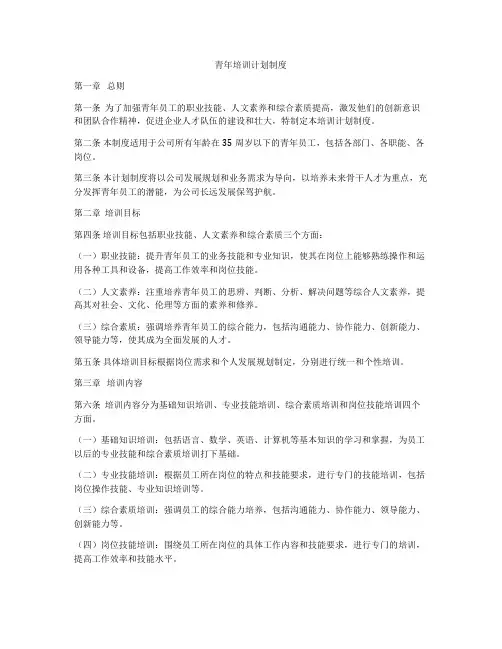 青年培训计划制度