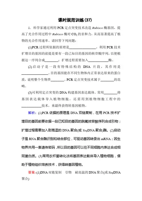 高三生物一轮复习习题及解析 基因工程