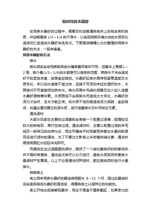 如何饲养水晶虾